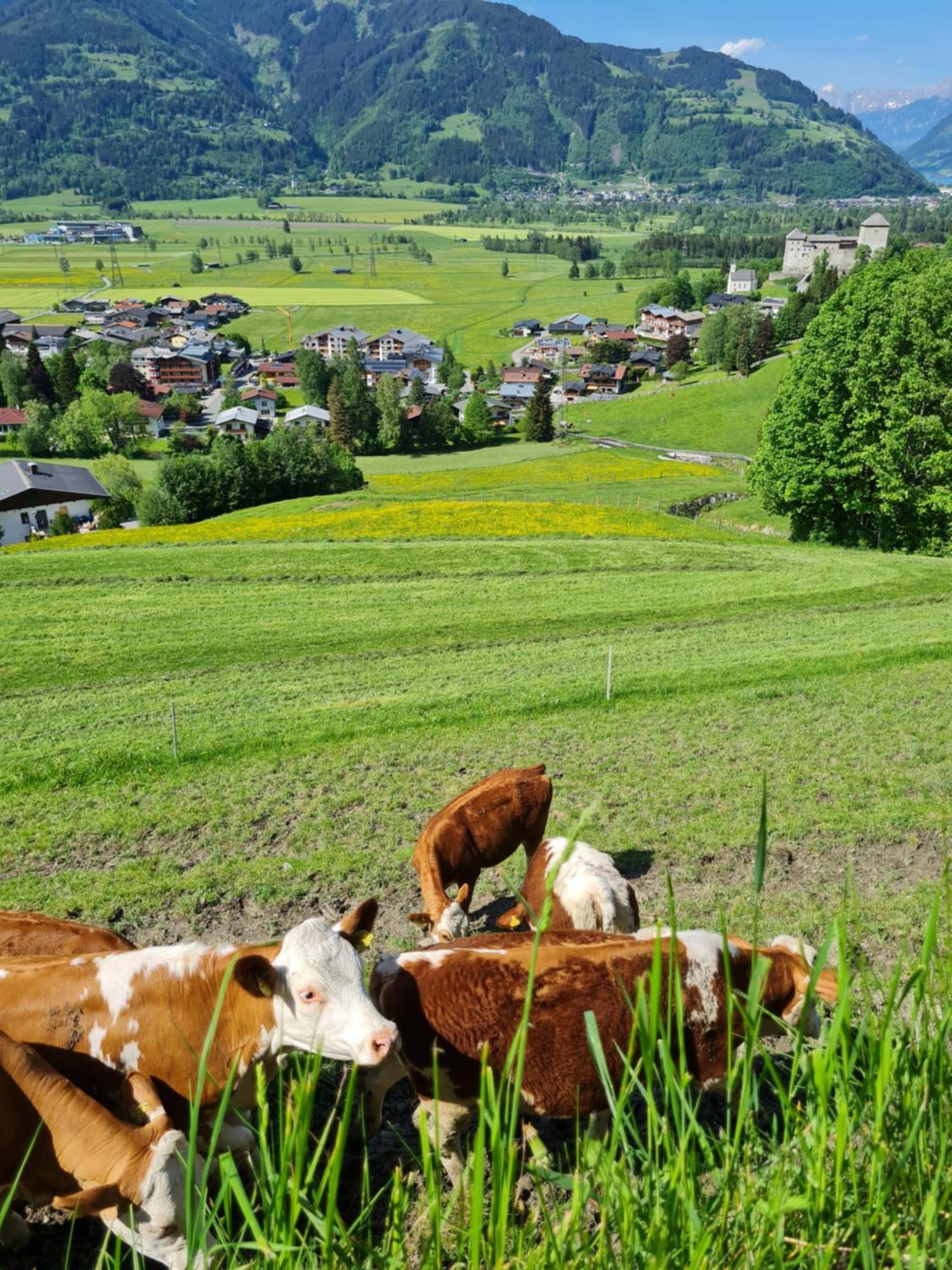 Hotel Garni Panorama Guggenbichl Kaprun Esterno foto